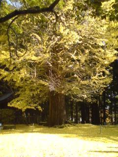 111120_1023~01.jpg