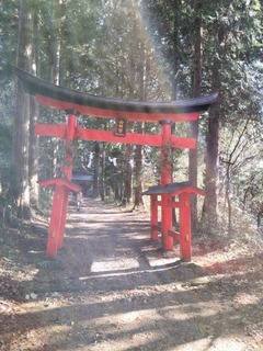 IMG20211118130313.jpg