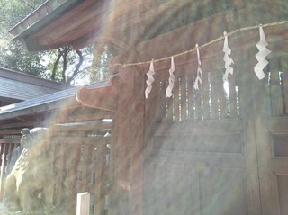 IMG20211224103959.jpg