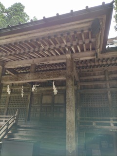 IMG20220816112050.jpg