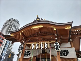 IMG20220923102544-e0d15.jpg