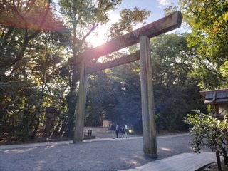 IMG20221107090032.jpg