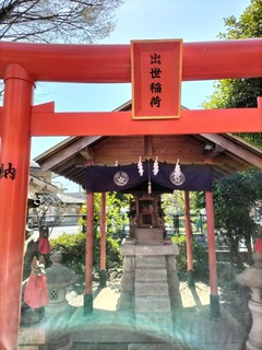 IMG20230320121822.jpg