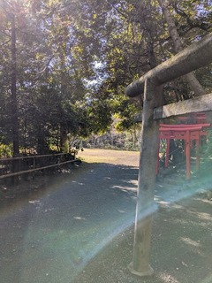 PXL_20250307_002958246.jpg