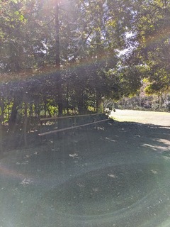 PXL_20250307_003026747.jpg