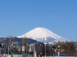 PXL_20250307_004649786~2.jpg