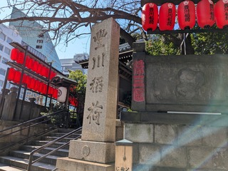 PXL_20250310_021707653.jpg