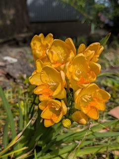 PXL_20250406_054639962.jpg